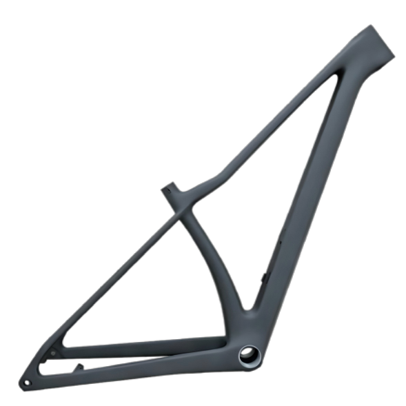 MTB