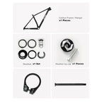 MTB frame CF010
