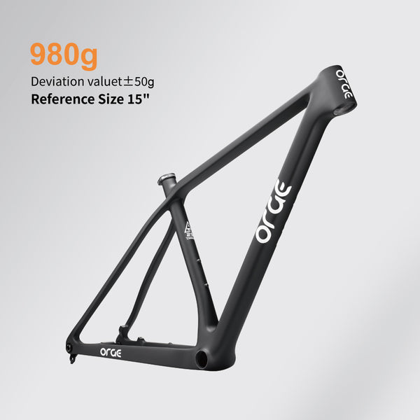 MTB Frame CF010
